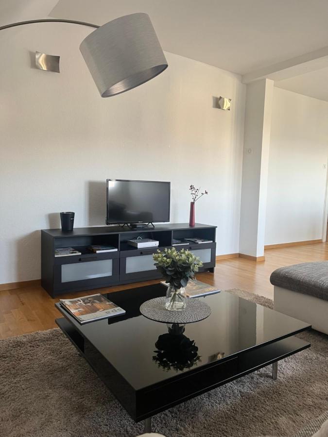 Bel Appartement Centre Climatise Parking Prive Colmar Exterior photo